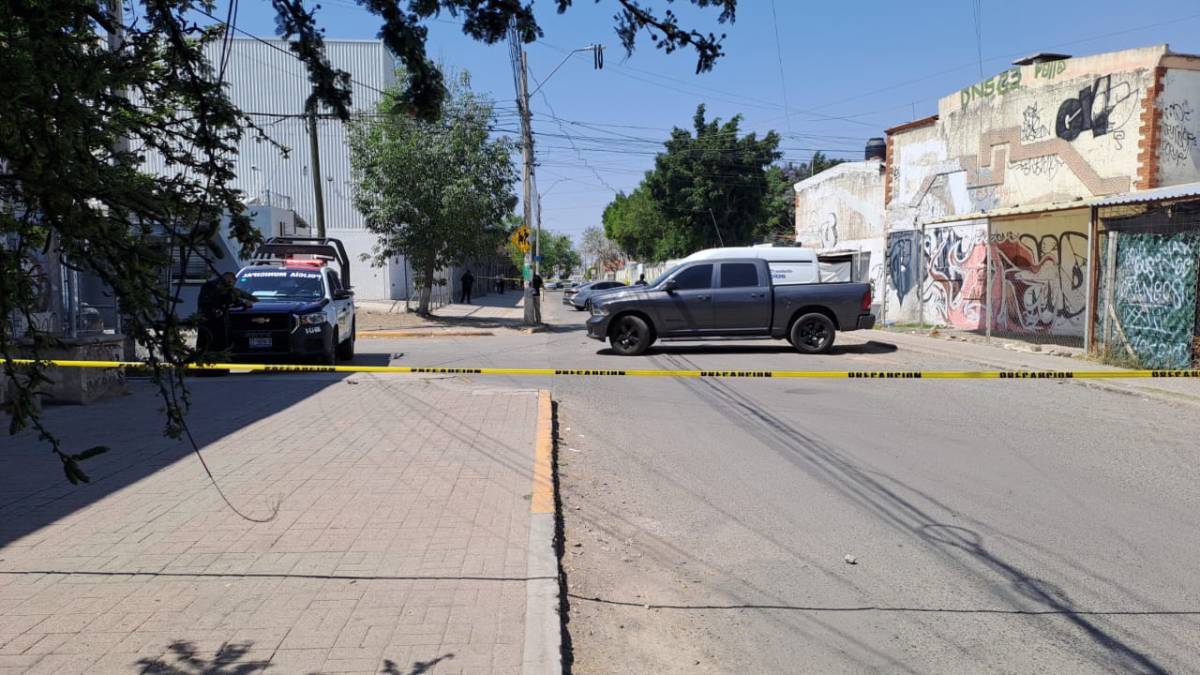 emplayados-delta-de-jerez-leon