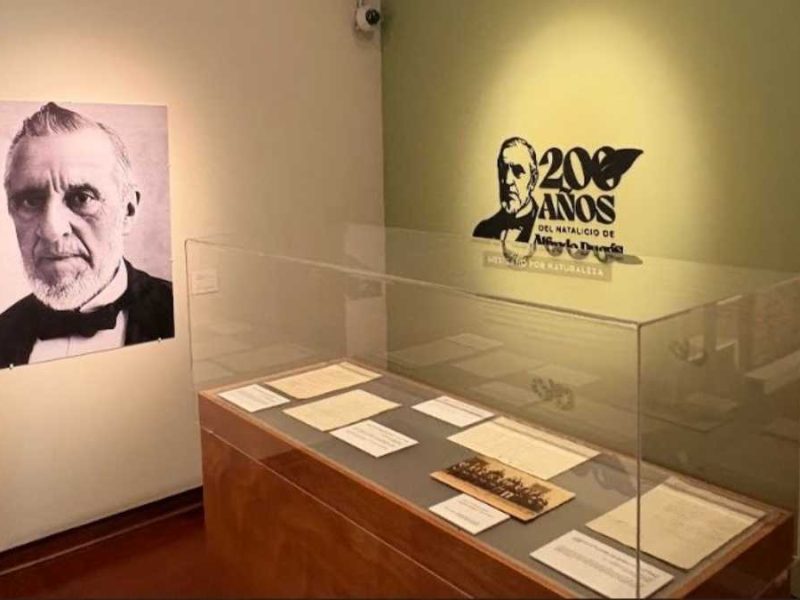 Universidad de Guanajuato celebra legado científico de Alfredo Dugès con la exposición “Mexicano por naturaleza”