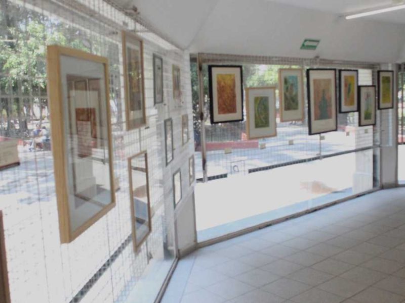 Lorena Martínez celebra siete años de trayectoria gráfica con “Entre tintas y papel”