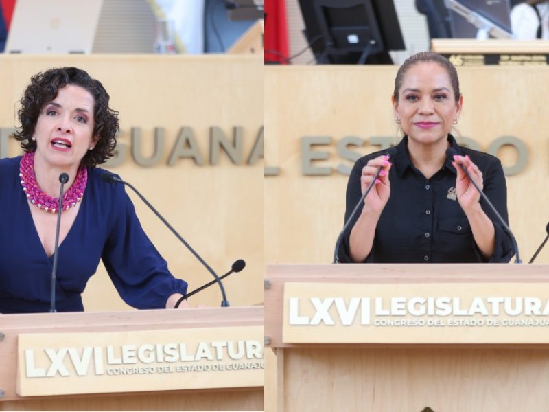 Protegerá Guanajuato terrenos forestales incendiados