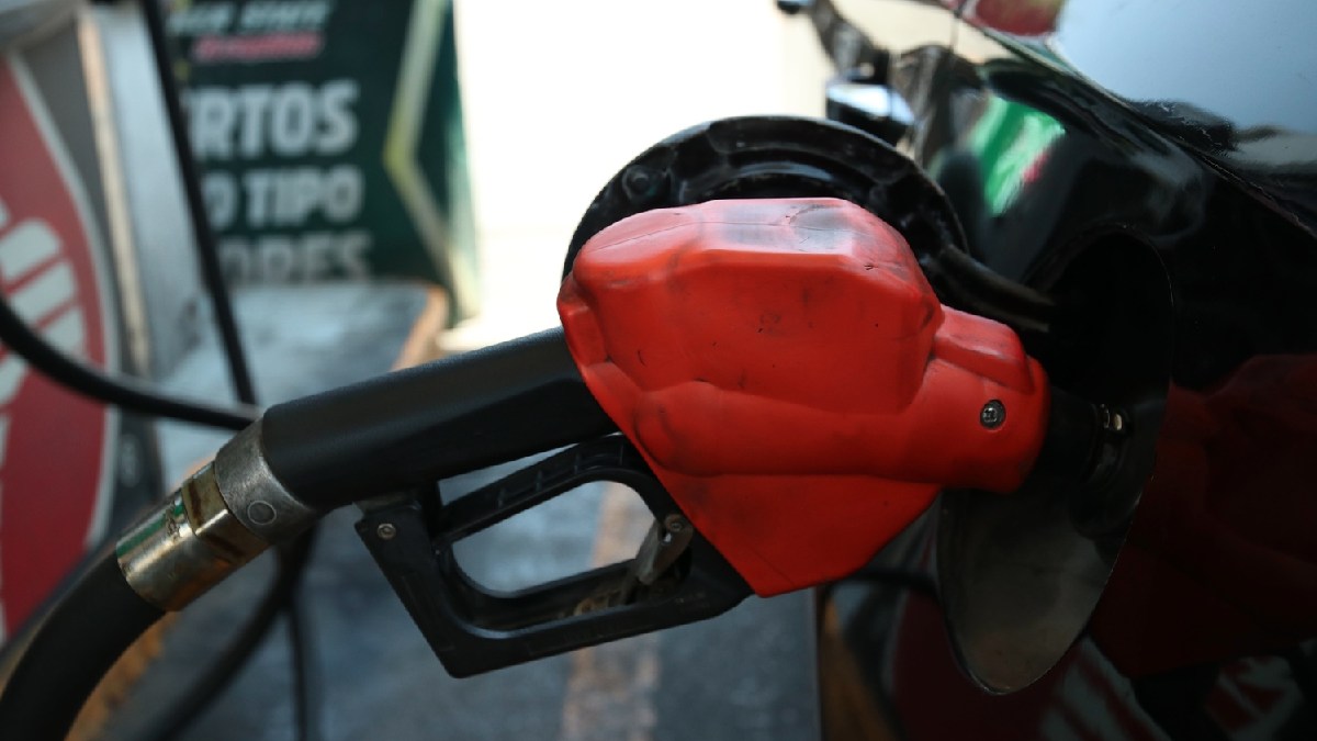 gasolina