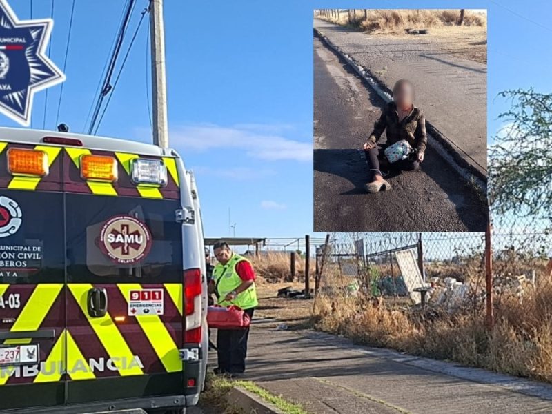 Gritó por ayuda: Jauría de perros ataca ferozmente a mujer cuando caminaba por avenida de Celaya