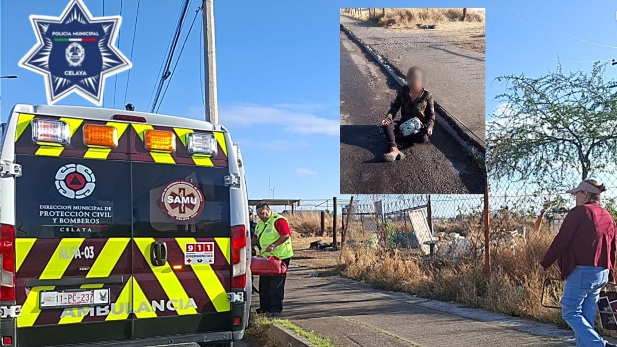 Jauría de perros ataca a mujer en Celaya