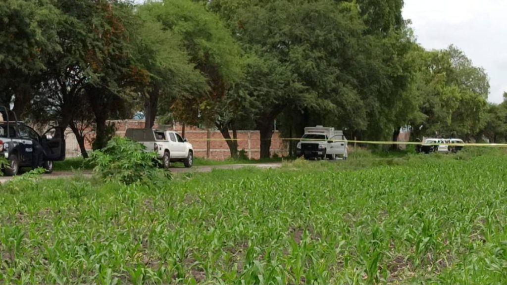 joven-salvatierra-hallazgo