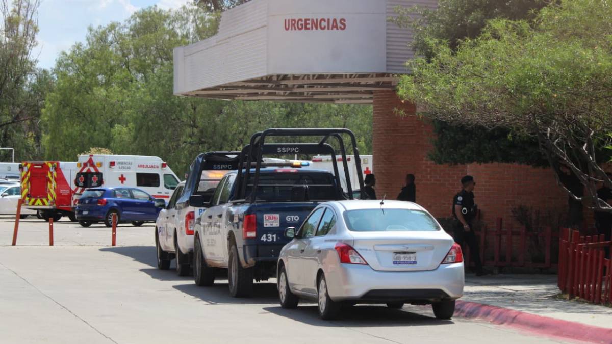 leon-I-ataque-armado