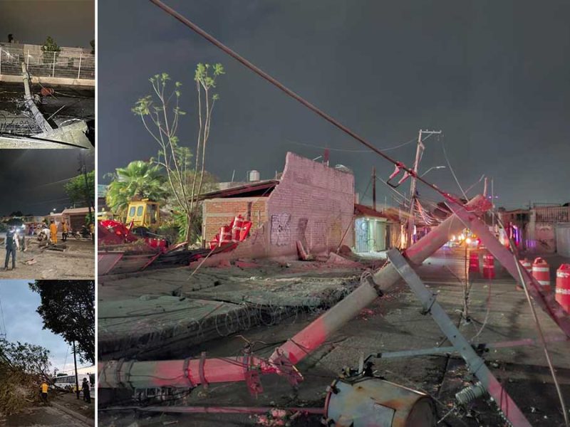 Fuertes vientos en el sur de León derriban 16 árboles, colapsan bardas y provocó apagones