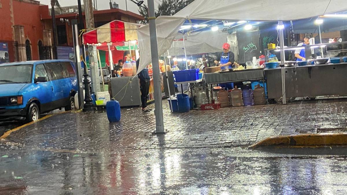 lluvia-leon