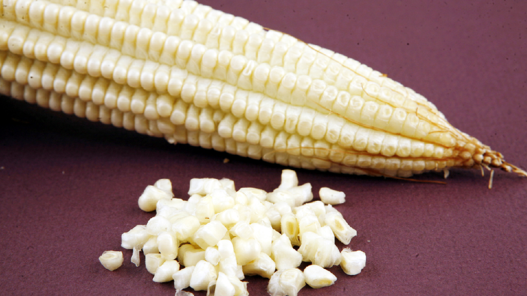 productores de granos