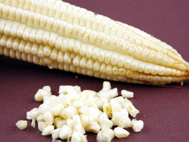 Campo mexicano producirá más en 2026, pero sus ingresos se desploman