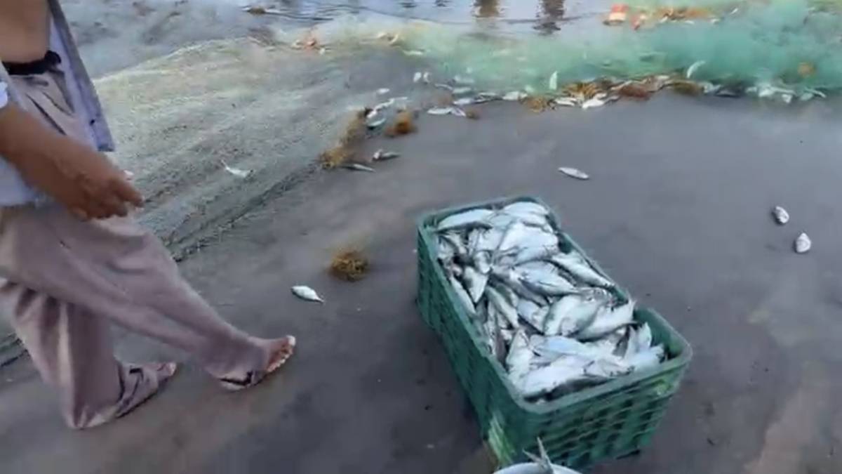 pescadores-veracruz