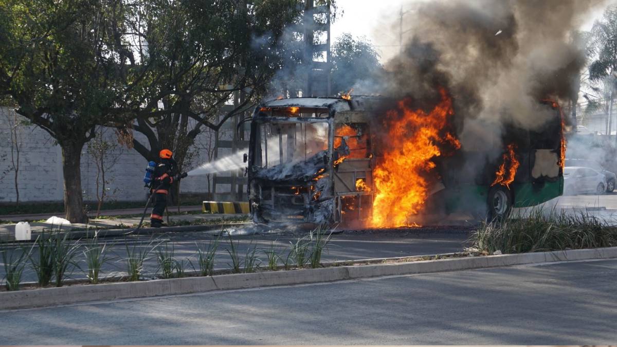 puerto-vallarta-el-mencho