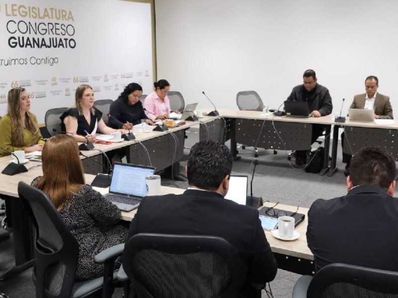 Avanza propuesta para sancionar a quien transporte mal la carne en Guanajuato