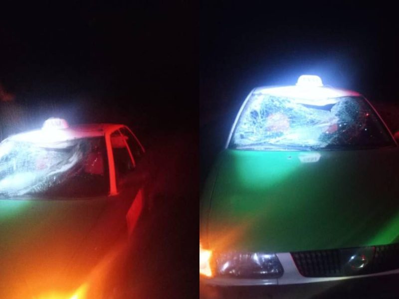 ¡Relinchazo! Choca taxista contra caballo en la carretera Moroleón-La Barranca