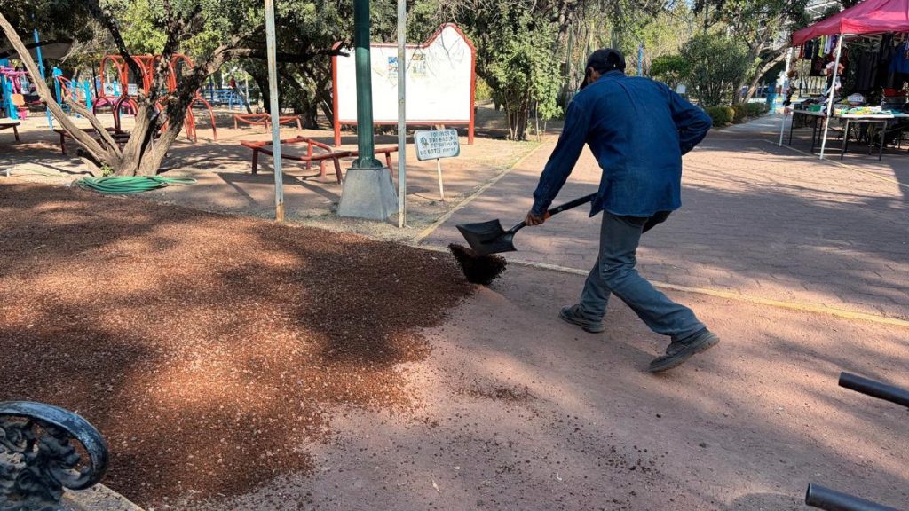 Propone estudio eliminar paramunicipales y ajustar nóminas en Celaya