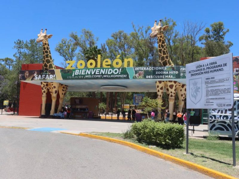Reabre Zoológico de León tras segundo cierre; solventan trámites ante Profepa