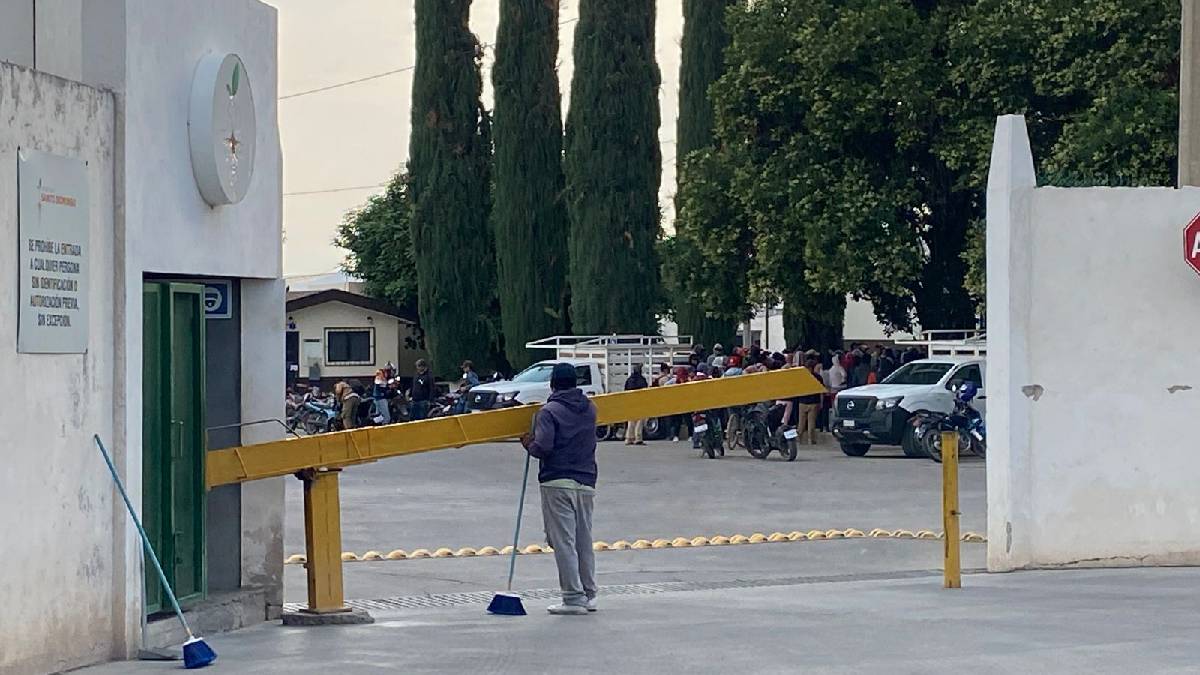 Agrícola Santo Domingo utilidades