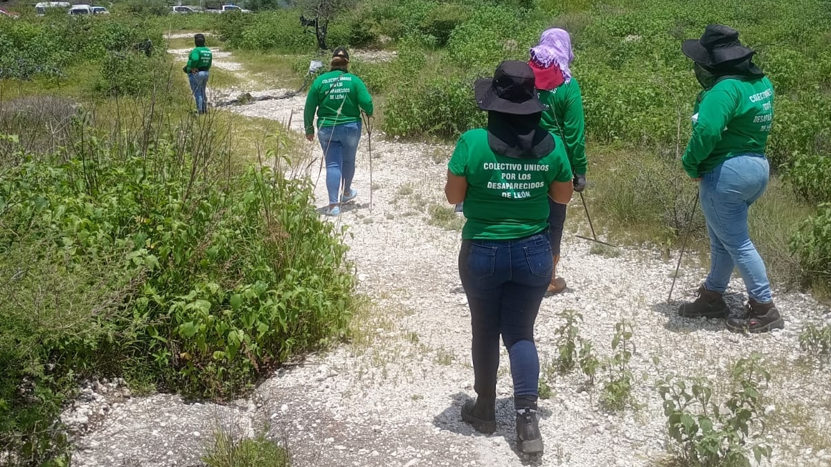 Colectivos de búsquedas en Guanajuato