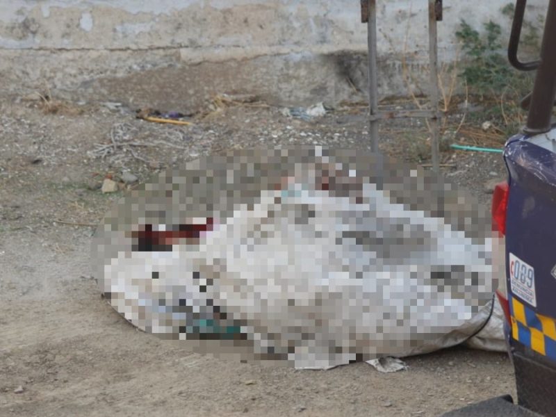 No era uno… eran dos cuerpos abandonados en un ‘diablito’ en Cañada del Real
