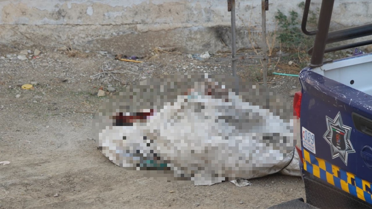 Cuerpos abandonados en un diablito