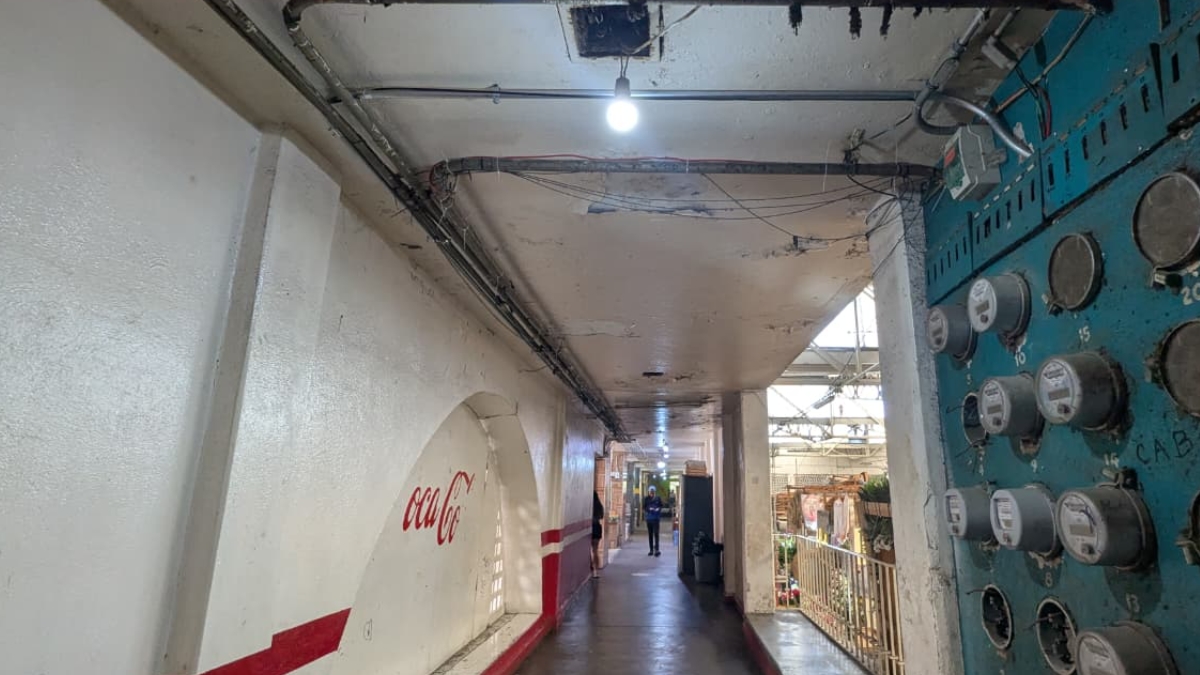 Goteras mercado hidalgo 1