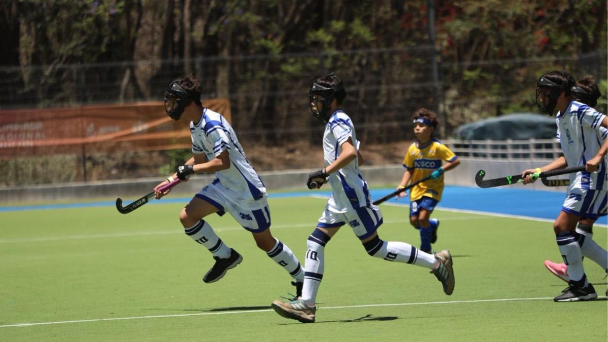 Guanajuato Medallas Olimpiada Nacional