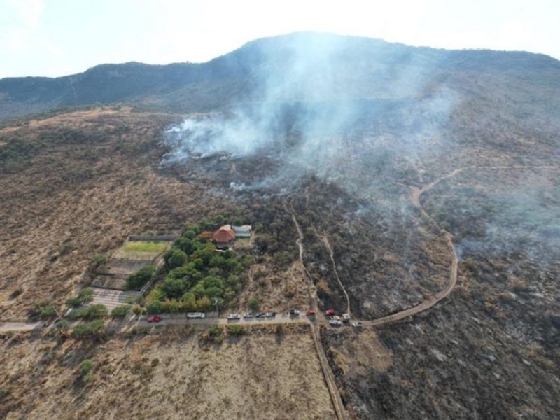 Incendio en el Área Natural Protegida del Cerro del Palenque consume 20 hectáreas en San Pancho
