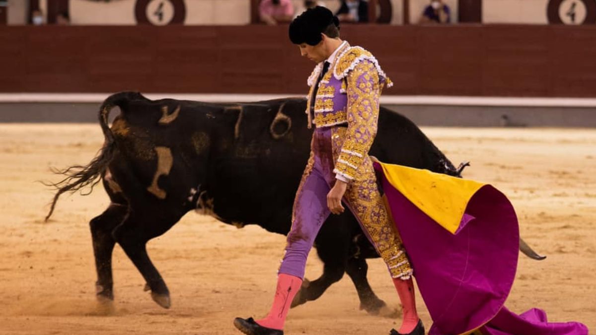 La Luz León Plaza de Toros