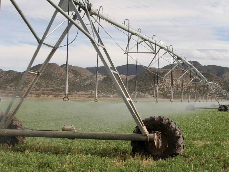 Nuevo plan hídrico de Sheinbaum desata alerta en el campo: Conagua recortará concesiones si ahorran agua