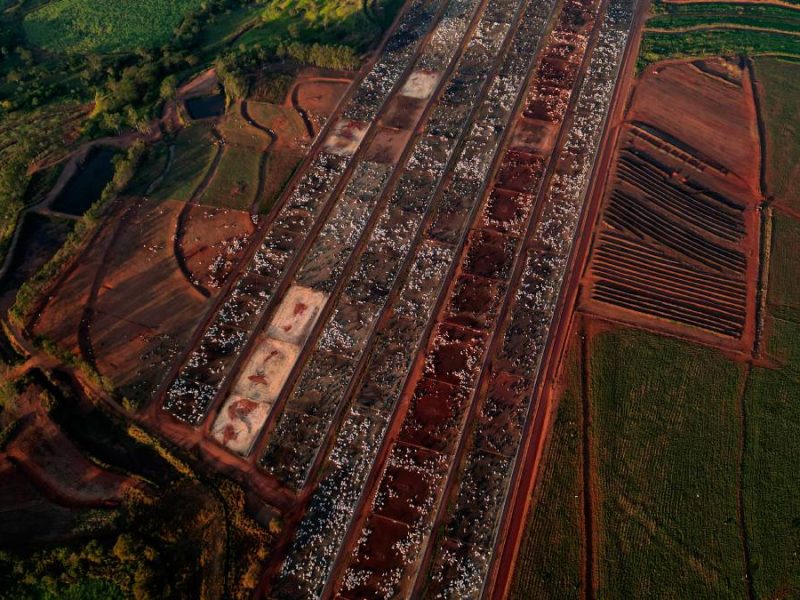 Europa frena la carne brasileña: UE bloqueará productos de origen animal a partir de septiembre