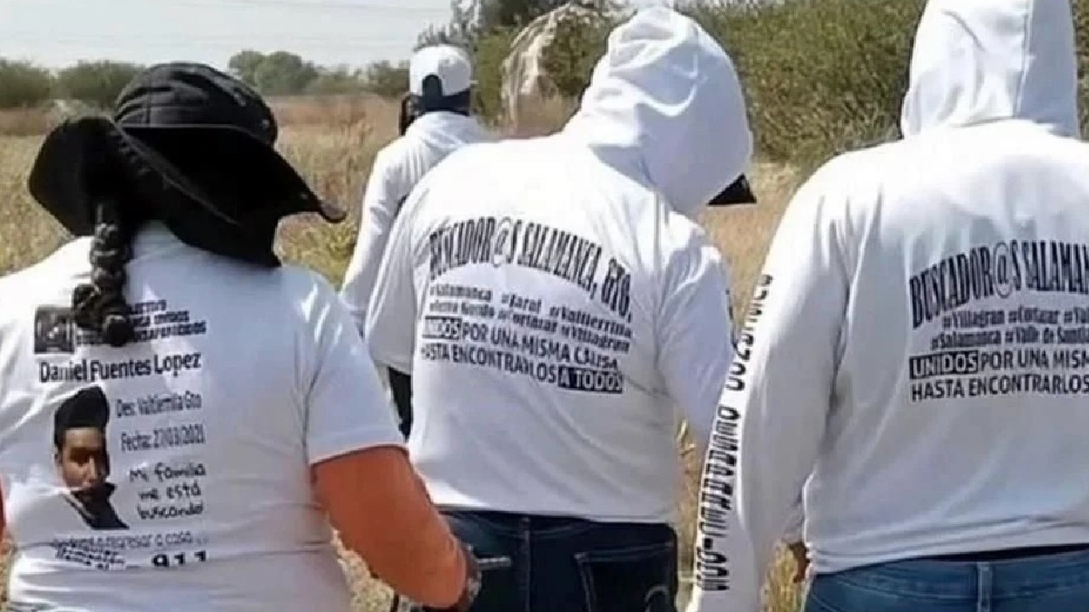 buscadoras