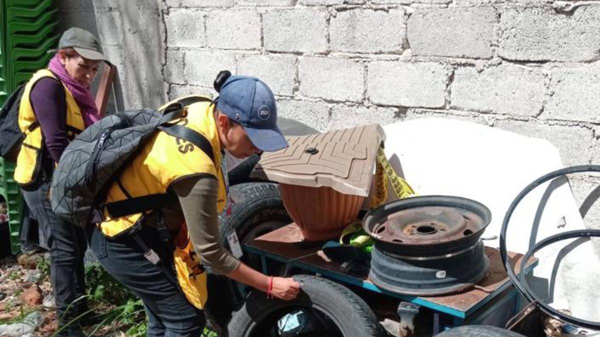 dengue-celaya