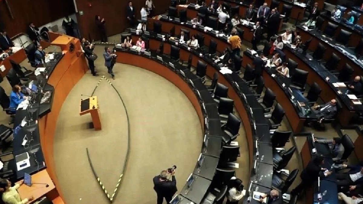 diputados