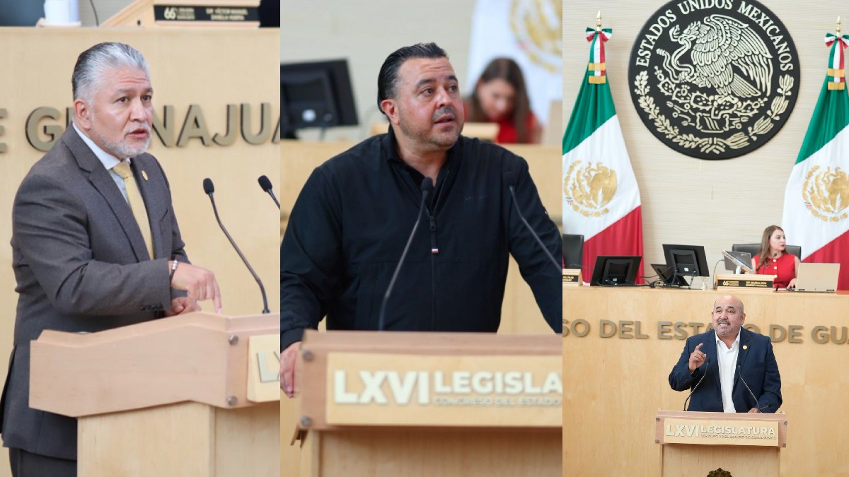 diputados