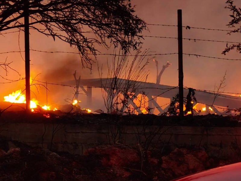 Arde pastizal y alcanza un yonke: Fuego destruye seis autos en el Eje León–San Pancho