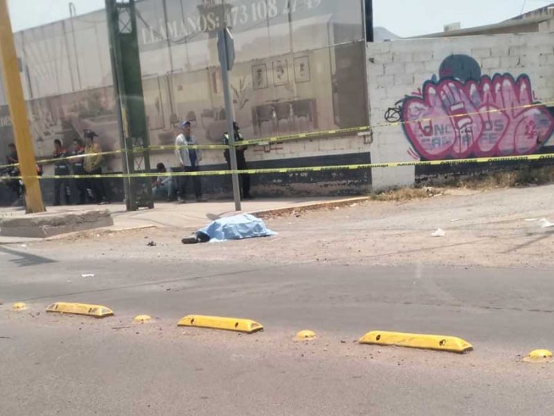 atropellado Guanajuato Puentecillas
