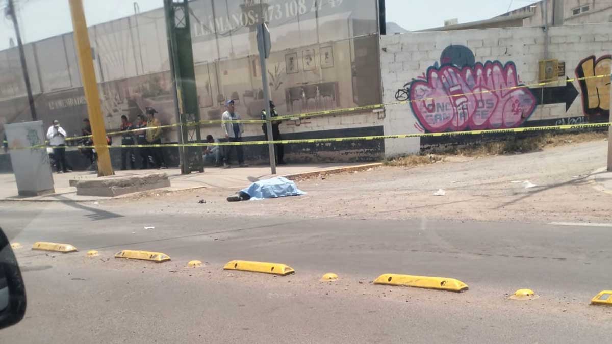atropellado Guanajuato Puentecillas