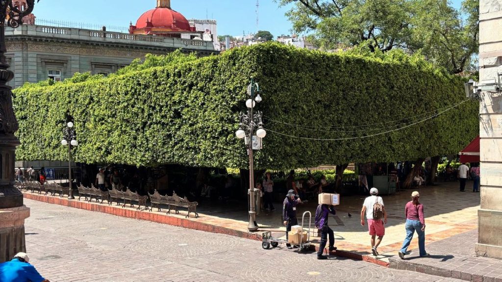 jardin union