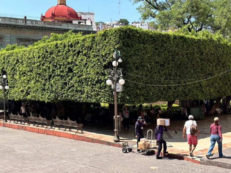 jardin union