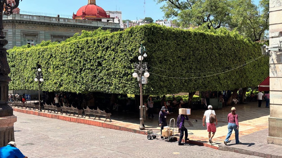 jardin union