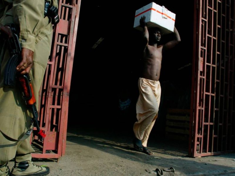 Caen tres mexicanos en Nigeria: Desmantelan mega laboratorio de droga en medio del bosque