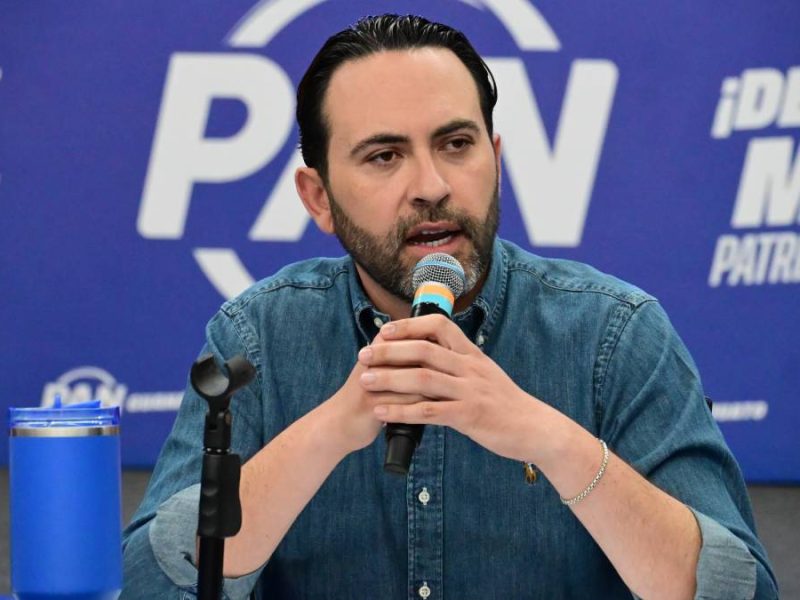 pan-alejandra-gutierrez-movimiento-ciudadano