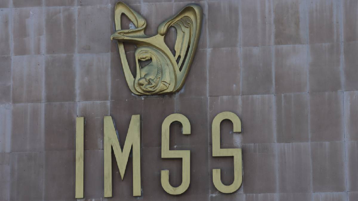 patrones-imss-guanajuato