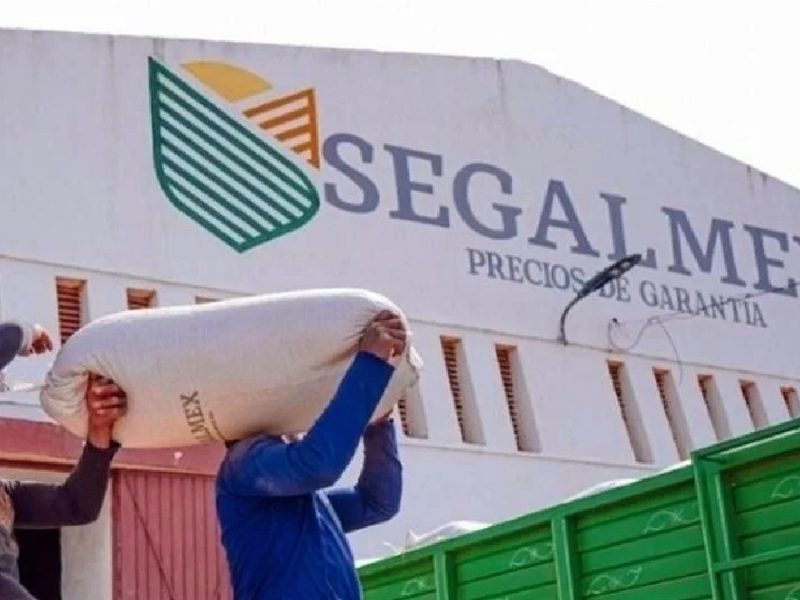 segalmex