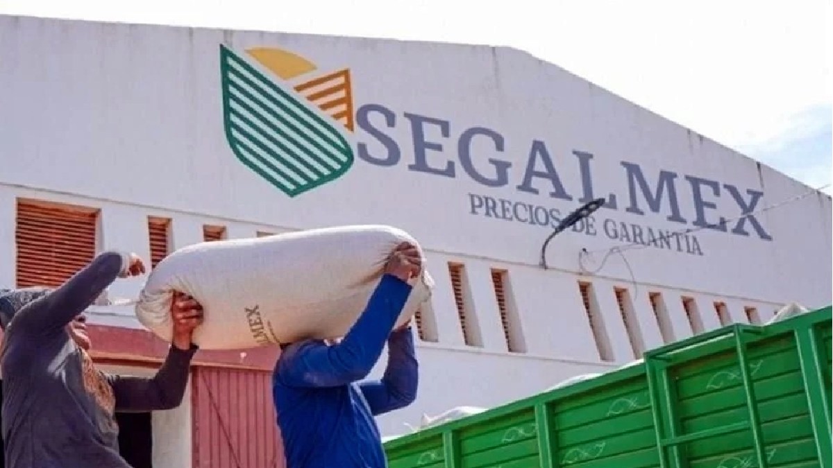 segalmex