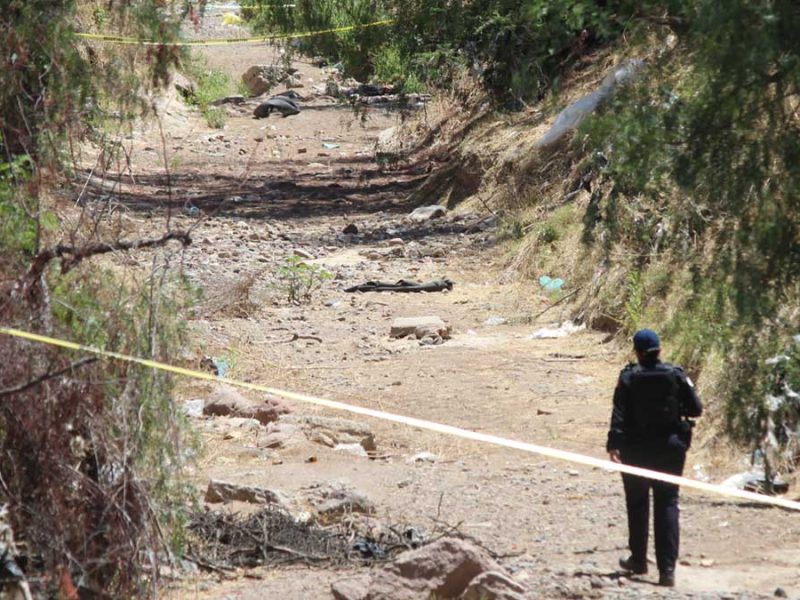 Sin rastro de identidad: Fauna devoraba restos humanos en un arroyo de Silao