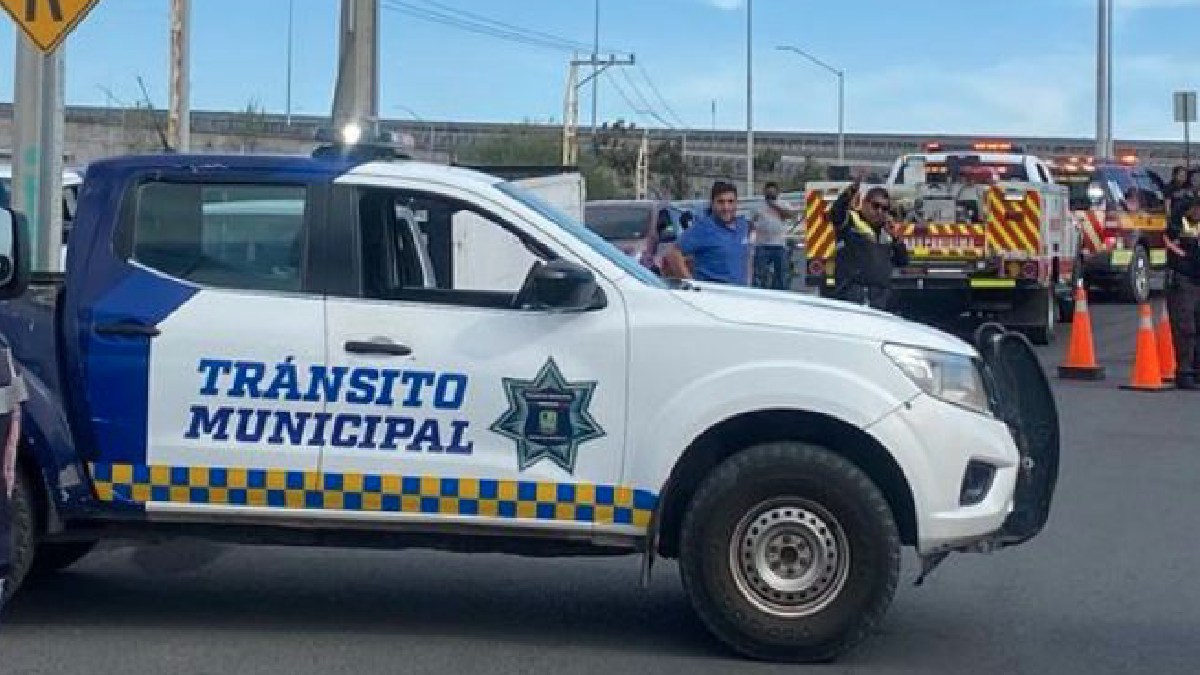 tránsito purísima