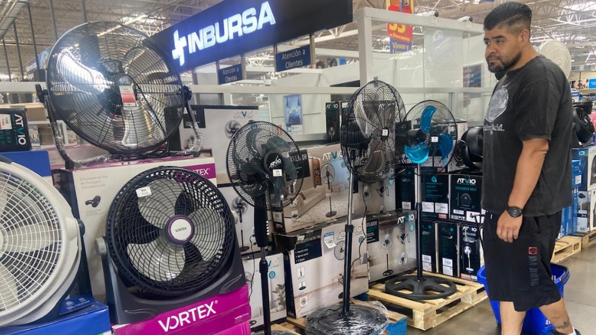 ventiladores León