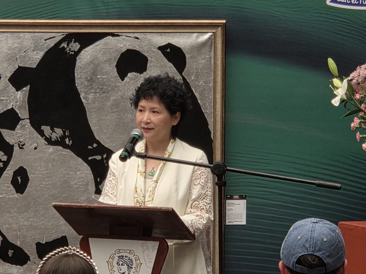 Así se une Guanajuato a la fiebre del Mundial con arte de pandas y balones