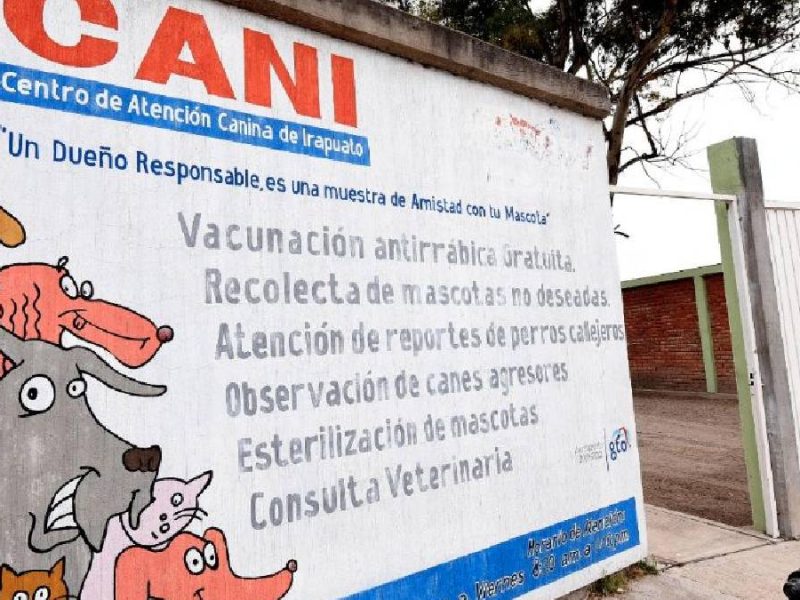 Defiende Alcaldesa de Irapuato labor del CANI ante críticas de animalistas en redes sociales