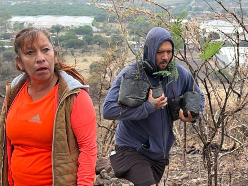 Plantan mil árboles para recuperar áreas incendiadas en el Cerro del Palenque, en Purísima